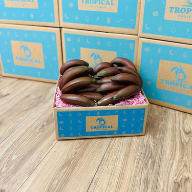 Red Banana Box GoogleON Tropical Fruit Box